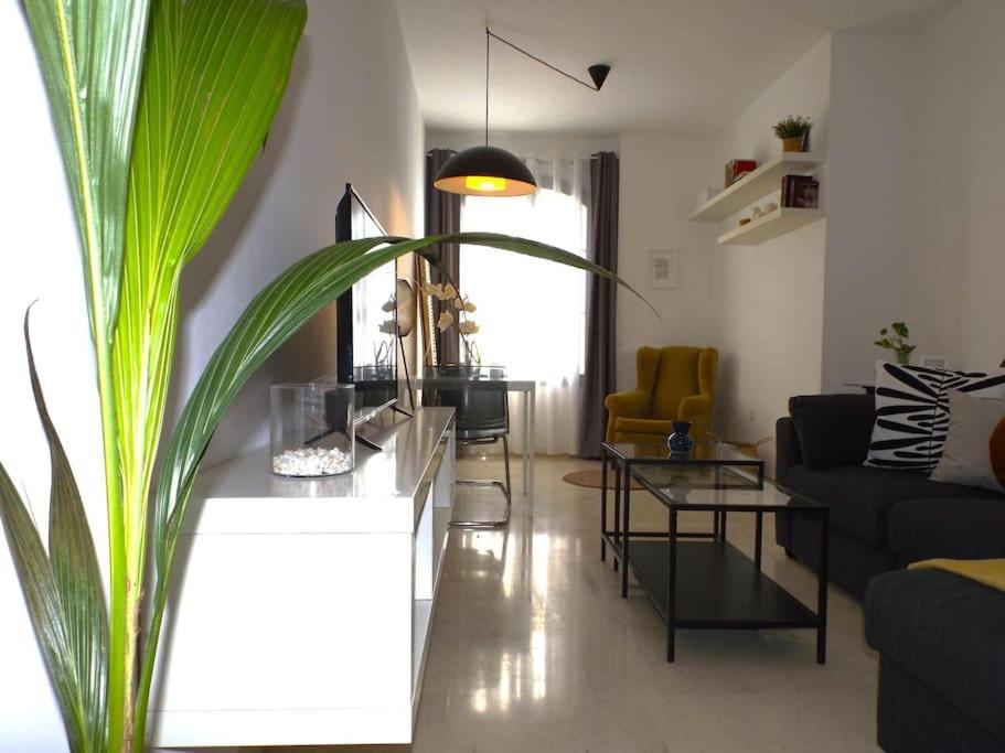 Apartamento Suite Centrico B Малага Екстериор снимка